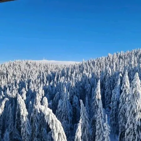 Apartman 601 Kopaonik Centar Exterior photo